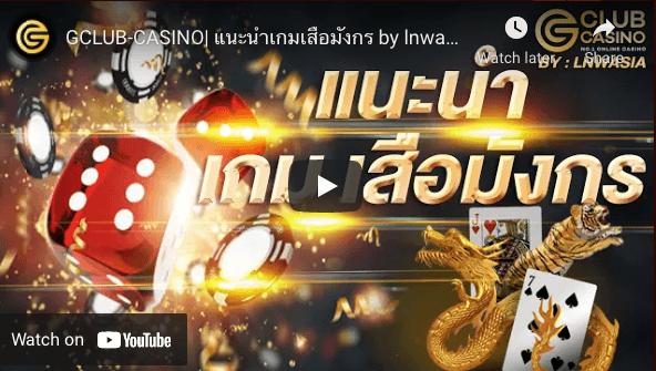 Dragon tiger video 1